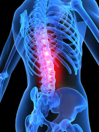 backache - image of skeleton with spine highlighted